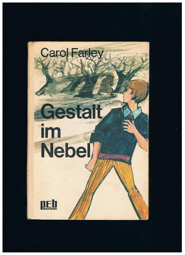 Gestalt im Nebel,Carol Farley,Engelbert Verlag,1969