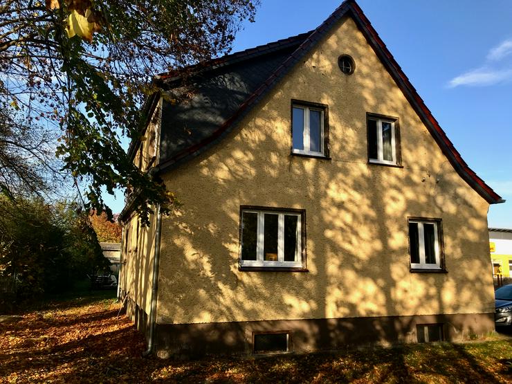 Architektenhaus auf großzügigem Grundstück mit hohen alten Bäumen, nahe der Oder - Haus kaufen - Bild 3
