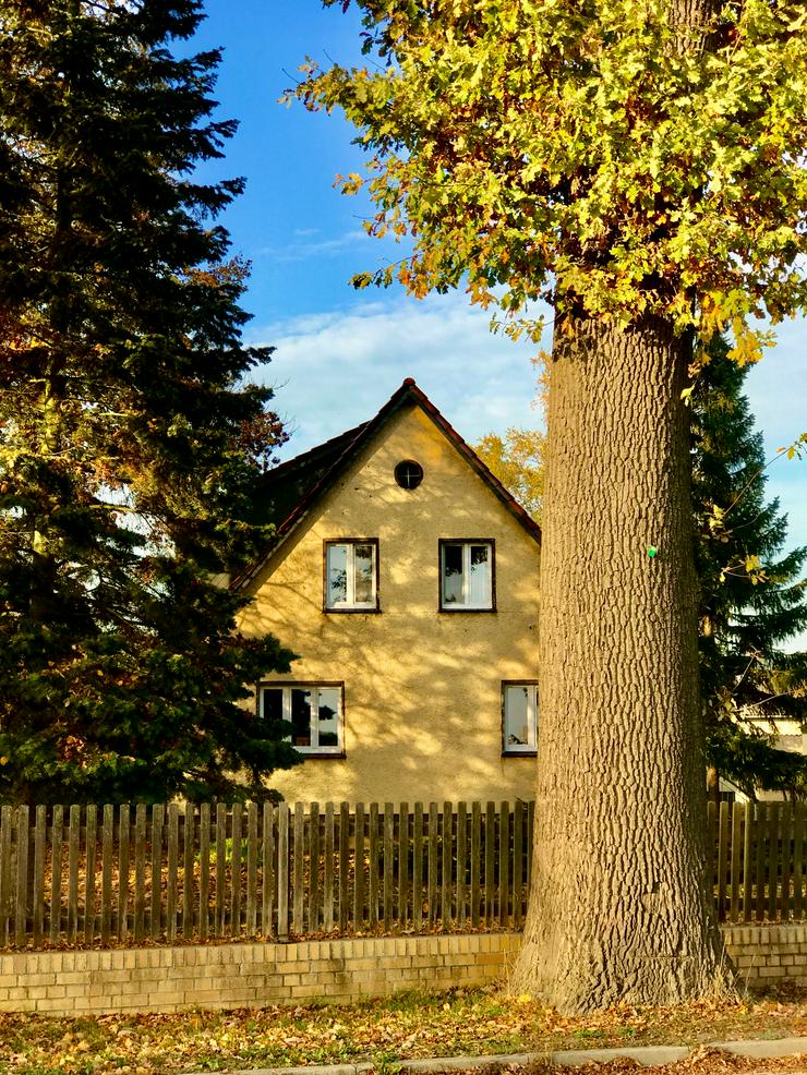 Architektenhaus auf großzügigem Grundstück mit hohen alten Bäumen, nahe der Oder