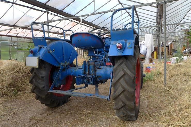 Bild 2: Traktor Oldtimer Eicher Leopard Baujahr 1963