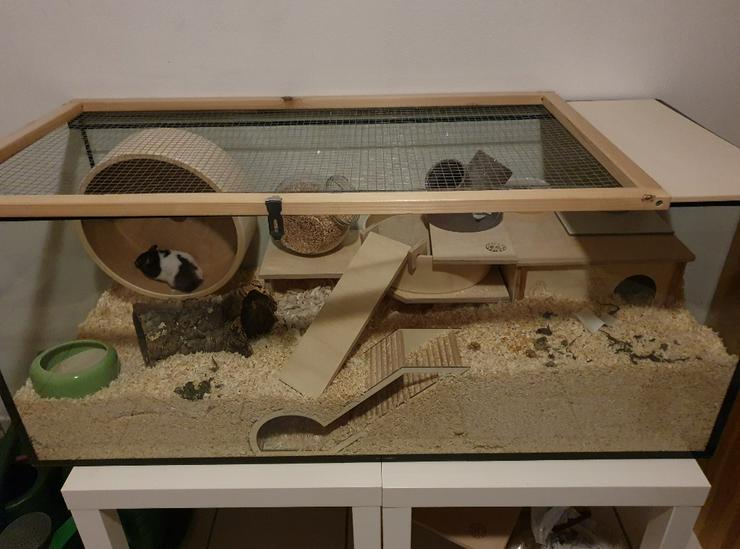 Hamstergehege artgerecht/ Aquarium
