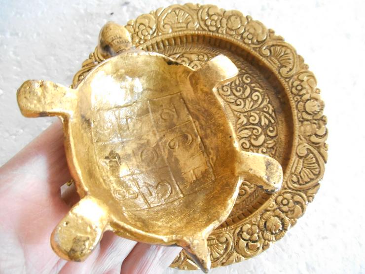 Bild 3: Schildkröten.....Pooja
