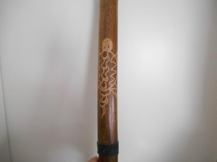 Didgerido..... - Weitere Instrumente - Bild 2