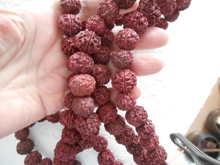 Bild 8: Rudraksha.............