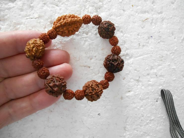 Bild 12: Rudraksha.............