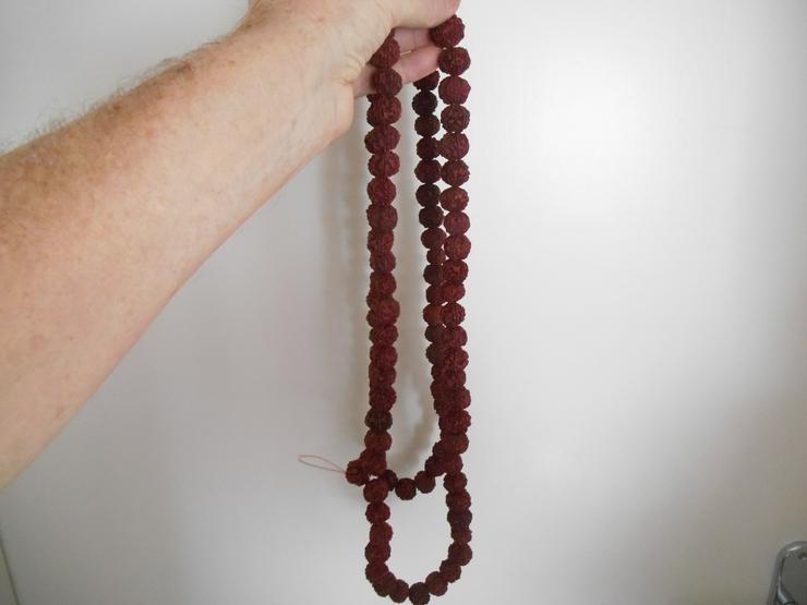 Bild 7: Rudraksha.............