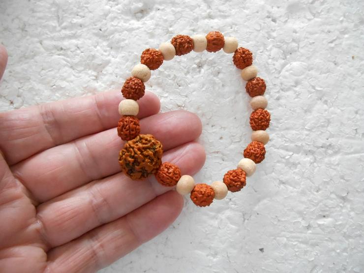 Bild 11: Rudraksha.............