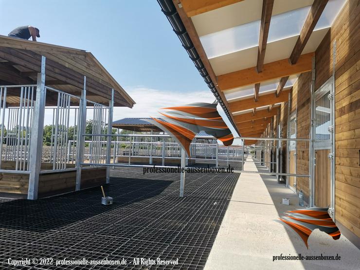 Bild 2: HOHE Qualität für Ihren Paddock & Reitplatz - Paddockplatten, Rasengitter, Paddockmatten, Pferdematten, Paddockgitter, Kiesgitter & Rasenwaben