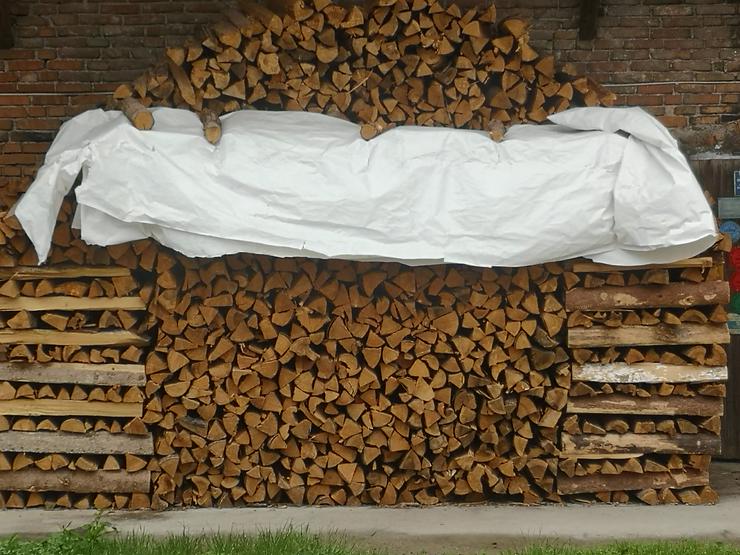 Bild 1: Brennholz zu verkaufen