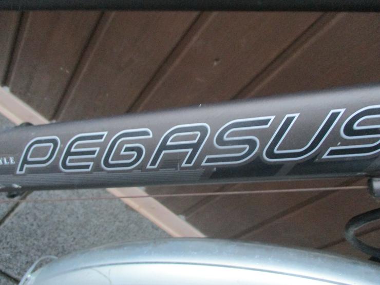 Damenfahrrad Pegasus Avanti 28 Zoll Versand auch möglich - Mountainbikes & Trekkingräder - Bild 3