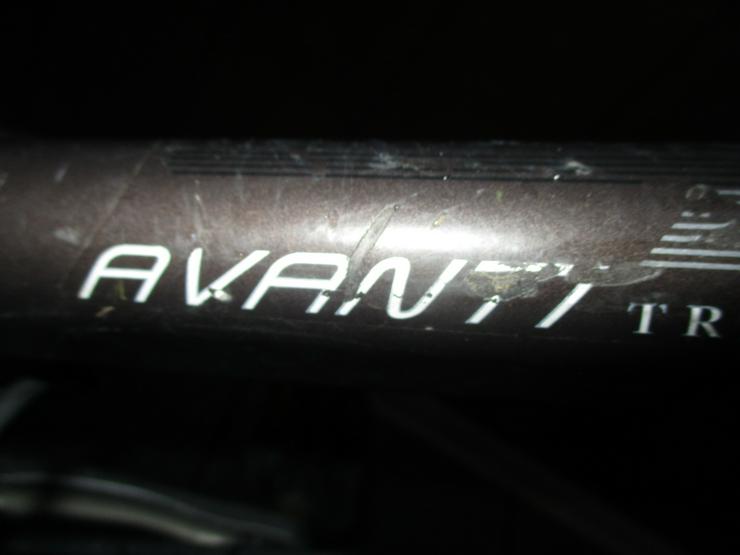 Damenfahrrad Pegasus Avanti 28 Zoll Versand auch möglich - Mountainbikes & Trekkingräder - Bild 4