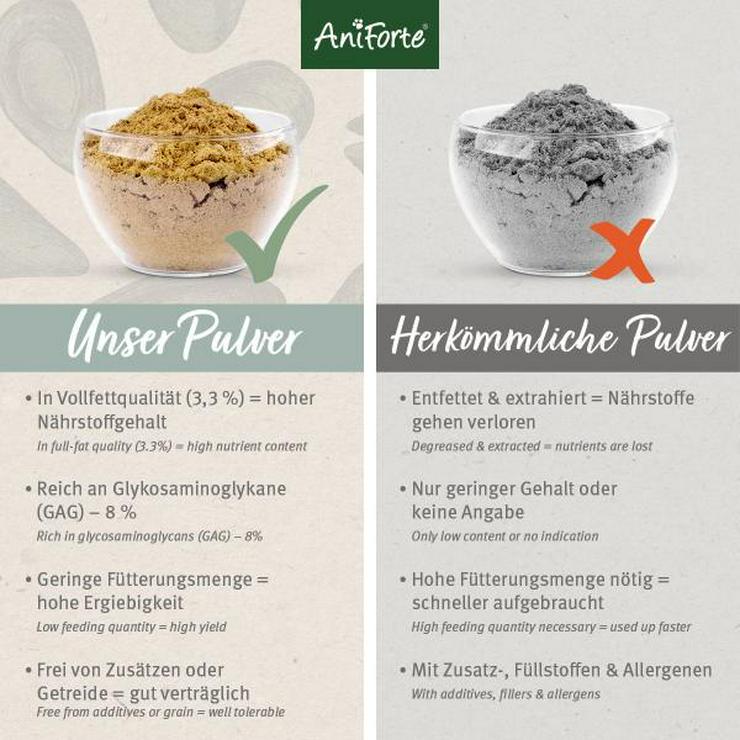 1kg Aniforte Grünlippmuschel Pulver - Vollfett-für Gelenkfunktion & Agilität - Futter & Näpfe - Bild 4