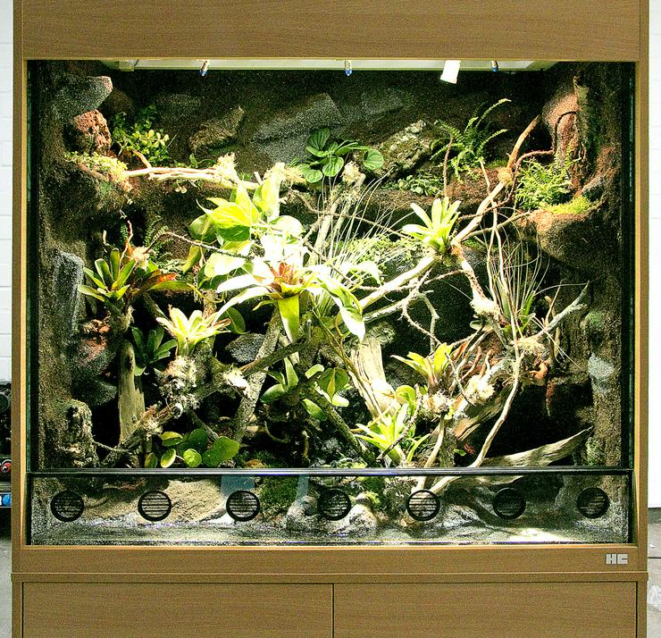 Bild 2: Aqua-Terrarium / Paludarium z. B. für Krokodilschwanzechsen