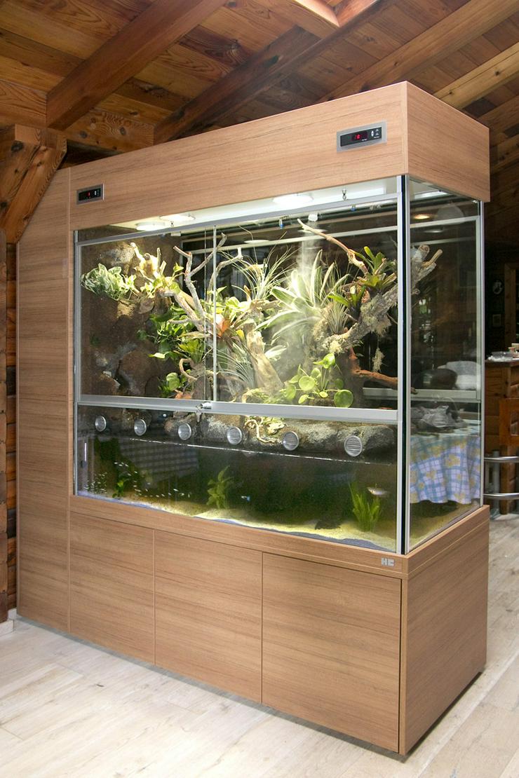 Bild 3: Aqua-Terrarium / Paludarium z. B. für Krokodilschwanzechsen