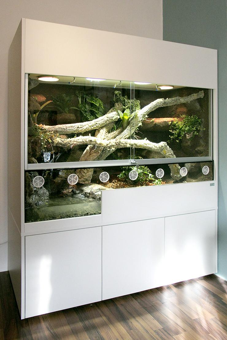 Bild 9: Aqua-Terrarium / Paludarium z. B. für Krokodilschwanzechsen