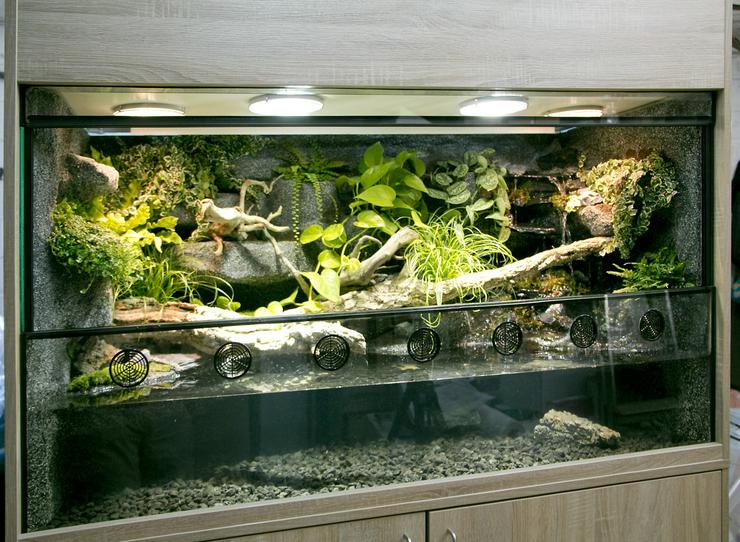 Bild 1: Aqua-Terrarium / Paludarium z. B. für Krokodilschwanzechsen
