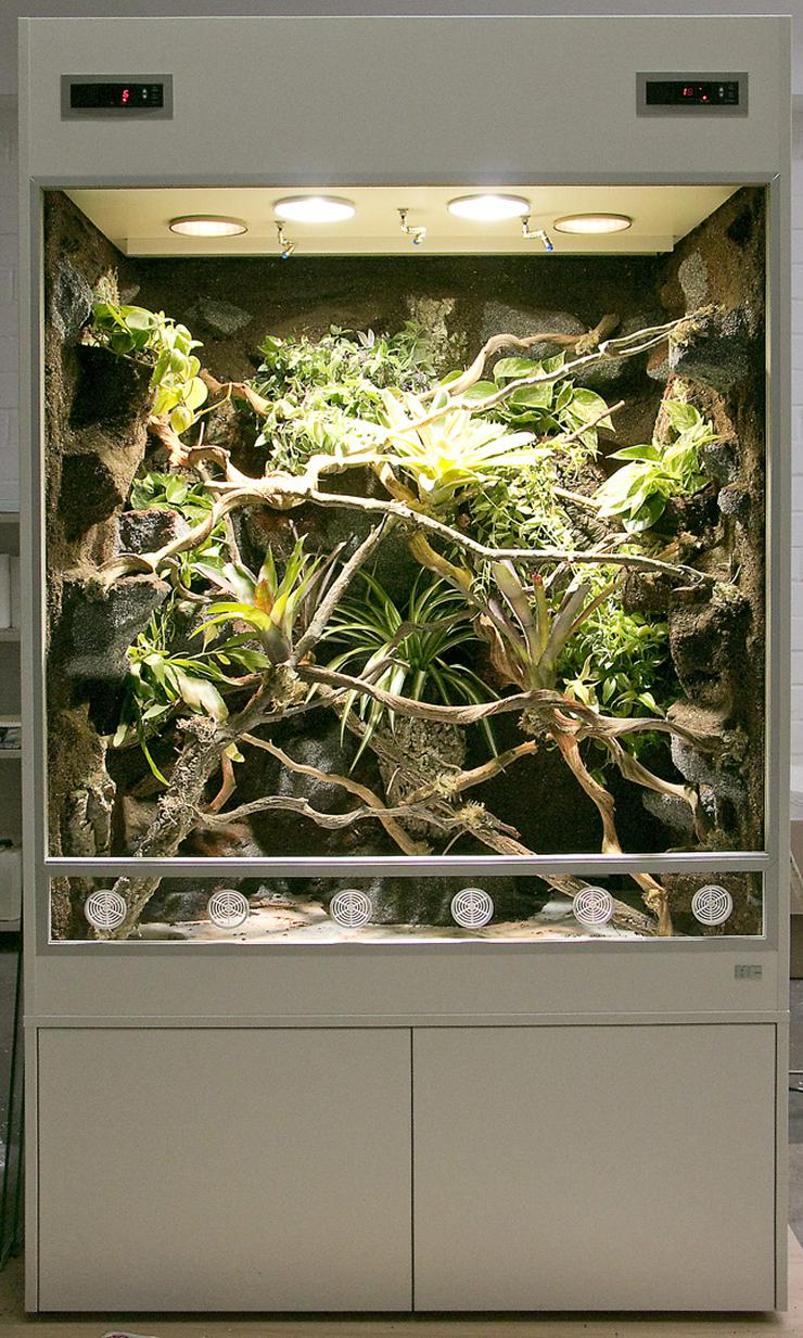 Bild 4: Regenwald-Terrarium für ein Chamäleon