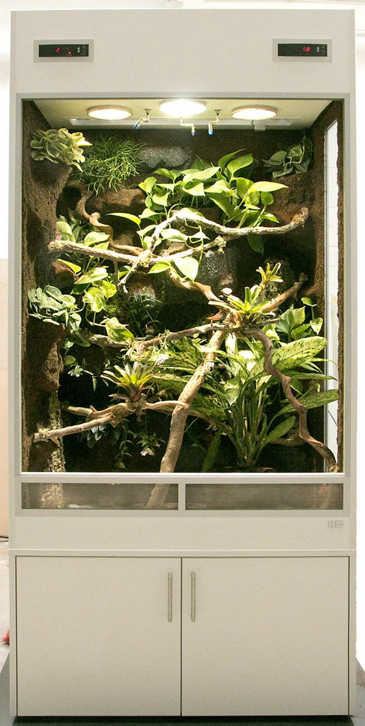 Bild 7: Regenwald-Terrarium für ein Chamäleon