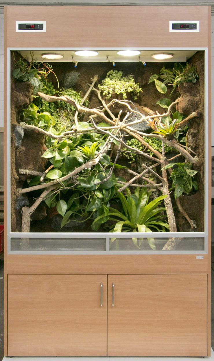 Bild 2: Regenwald-Terrarium für ein Chamäleon