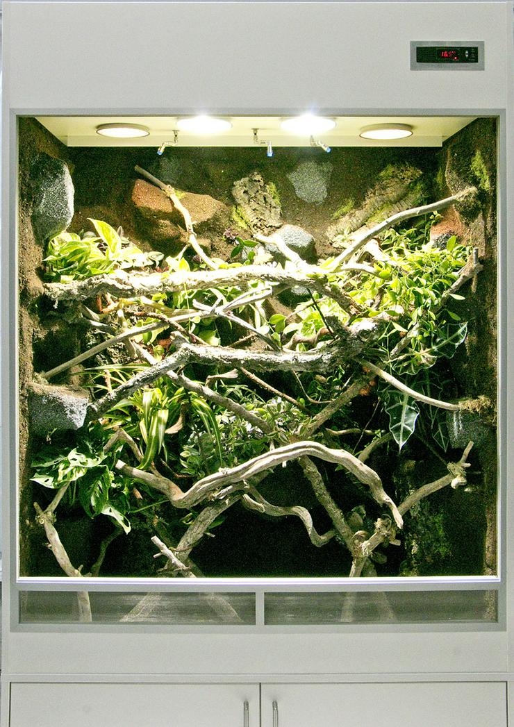 Bild 3: Regenwald-Terrarium für ein Chamäleon