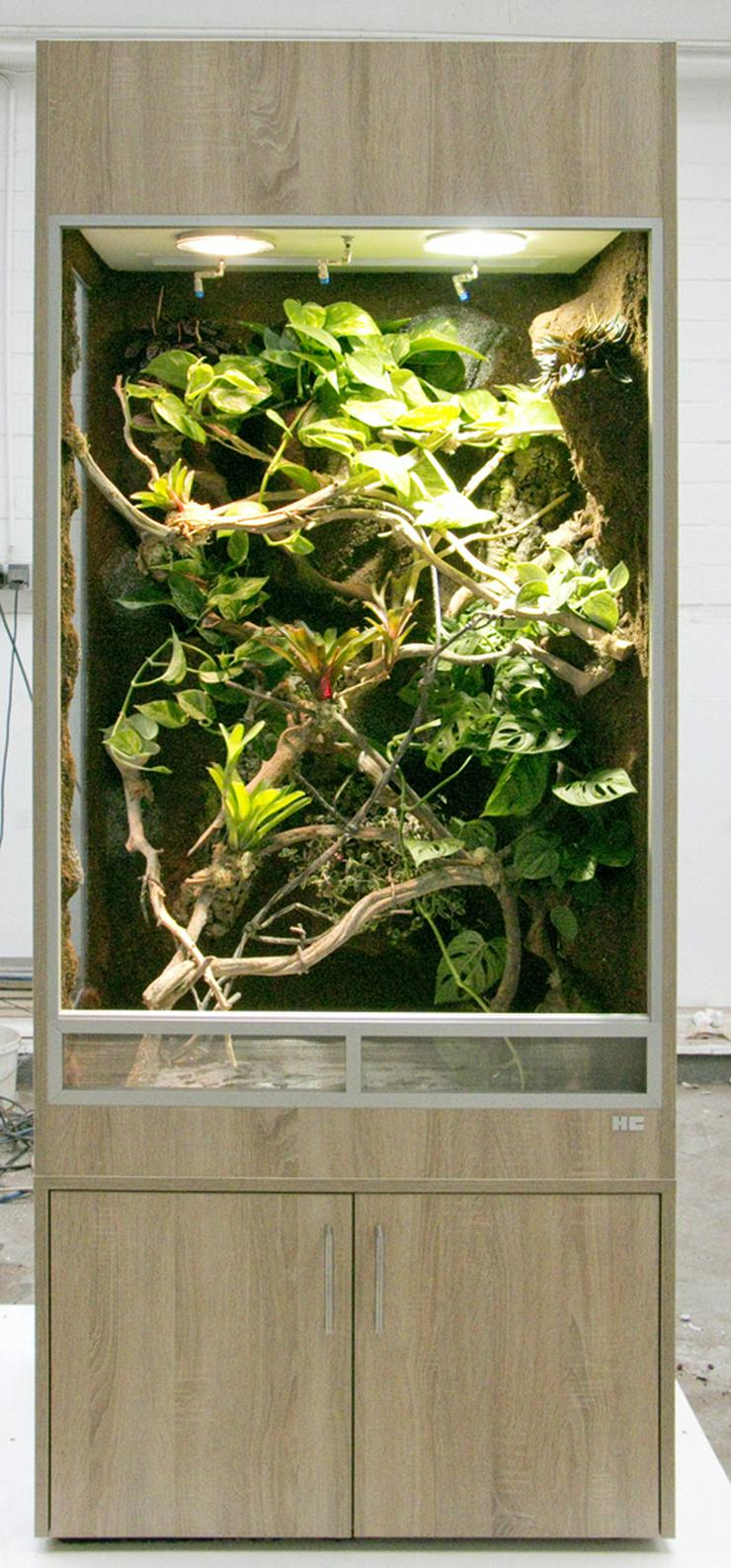 Bild 6: Regenwald-Terrarium für ein Chamäleon