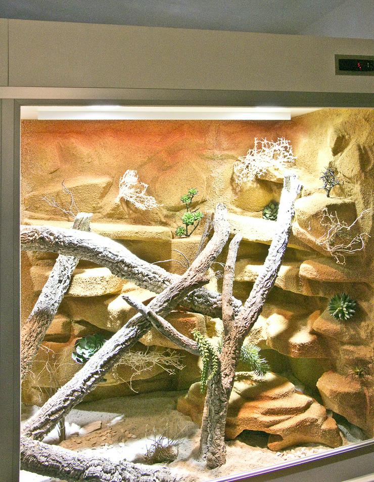 Bild 12: Terrarium Wüste/Steppe z.B. für Bartagamen und andere Steppenbewohnende Reptilien