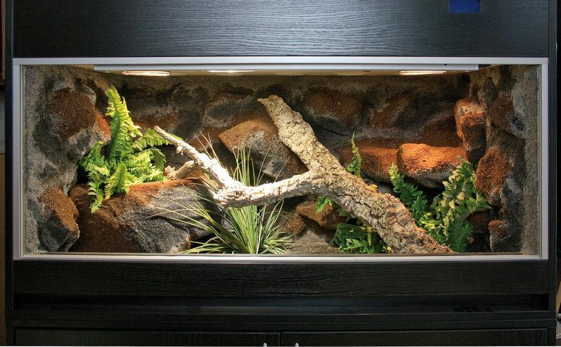 Bild 10: Terrarium für Schlangen