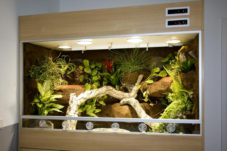 Bild 7: Terrarium für Schlangen