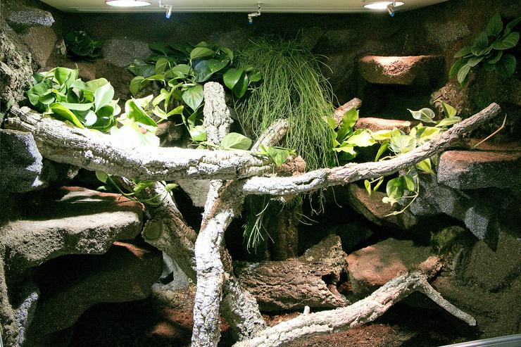 Bild 11: Terrarium für Schlangen