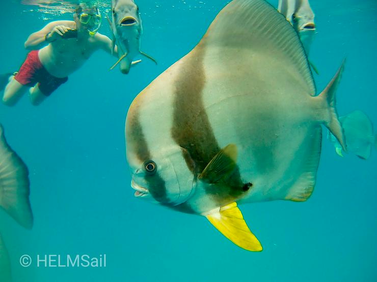 Bild 12: Mitsegeln Seychellen