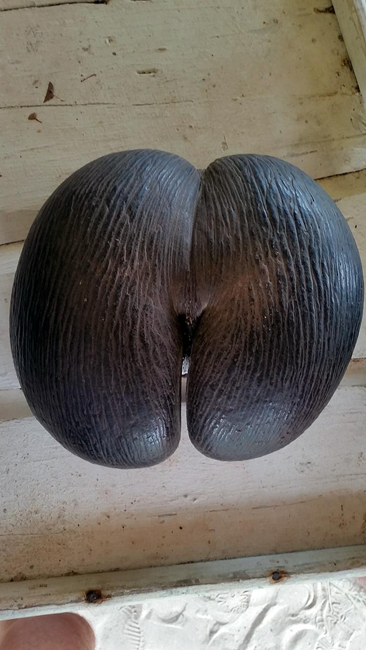 Bild 4: Mitsegeln Seychellen