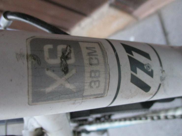 Bild 6: Jugendrad Mountainbike Morrison Lotus 26 Zoll Versand möglich