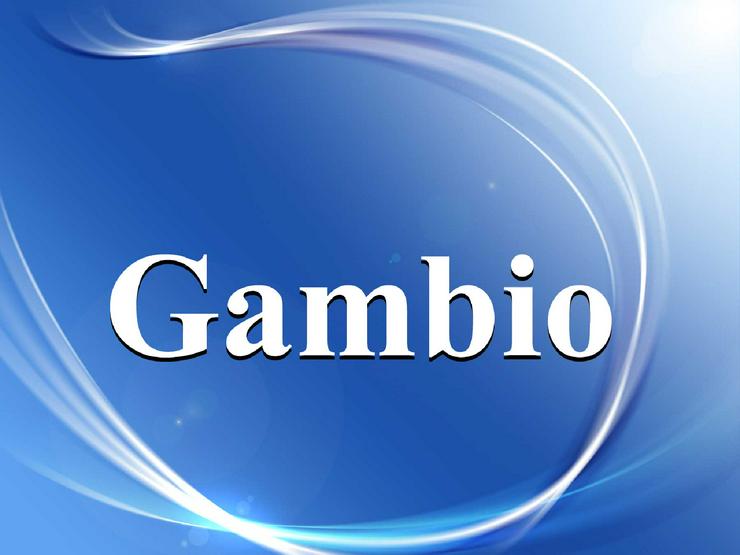 Eingerichteter Gambio GX4 Webshop - verkaufsfertig - PC & Multimedia - Bild 2