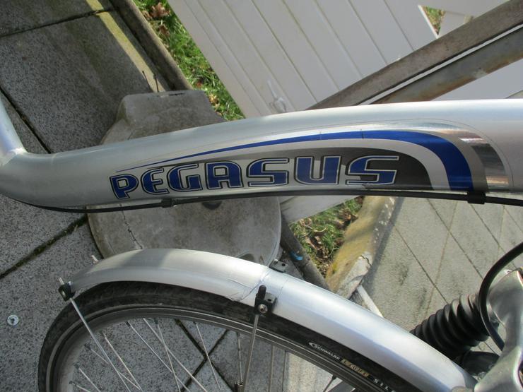 Damenfahrrad Pegasus Arcona 28 Zoll Versand auch möglich - Citybikes, Hollandräder & Cruiser - Bild 4