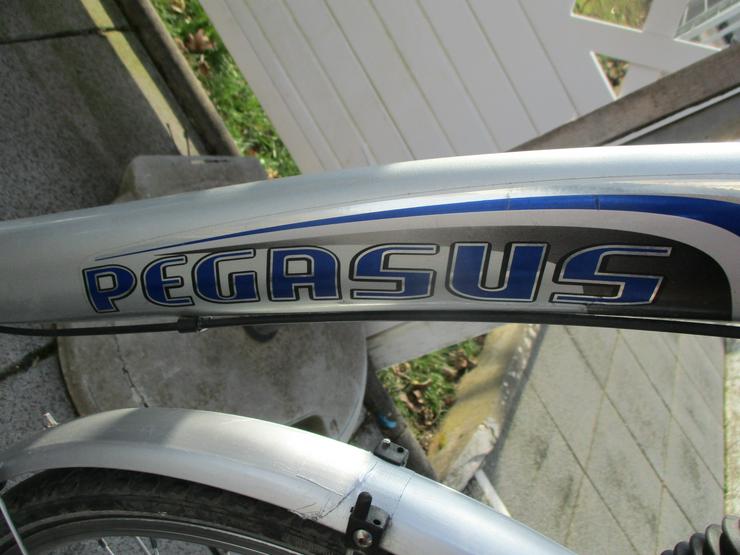 Damenfahrrad Pegasus Arcona 28 Zoll Versand auch möglich - Citybikes, Hollandräder & Cruiser - Bild 3