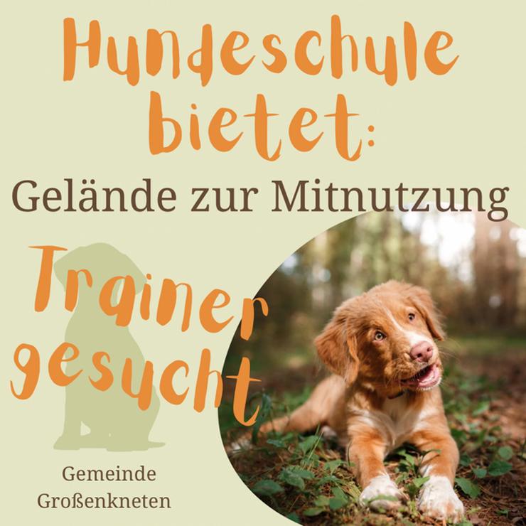 Hundeschulgelände und Hundesportgeräte zur Miete - Hundeschulen & Tiertrainer - Bild 1