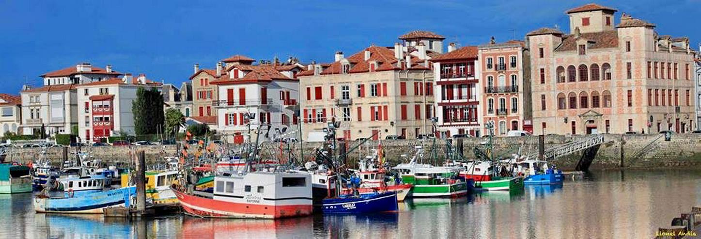Frankreich-Urlaub im Grünen mit Eseln im Baskenland (Biarritz) - Ferienwohnung Frankreich - Bild 11