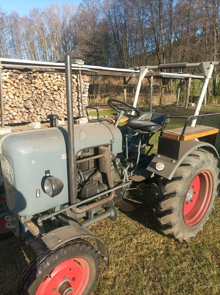 Eicher Traktor ekl/15 ps - Oldtimer - Bild 5