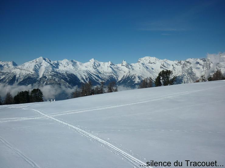 Bild 9: Walliser Alpen (CH) Ferienhaus frei  ab 22.Febr. 25