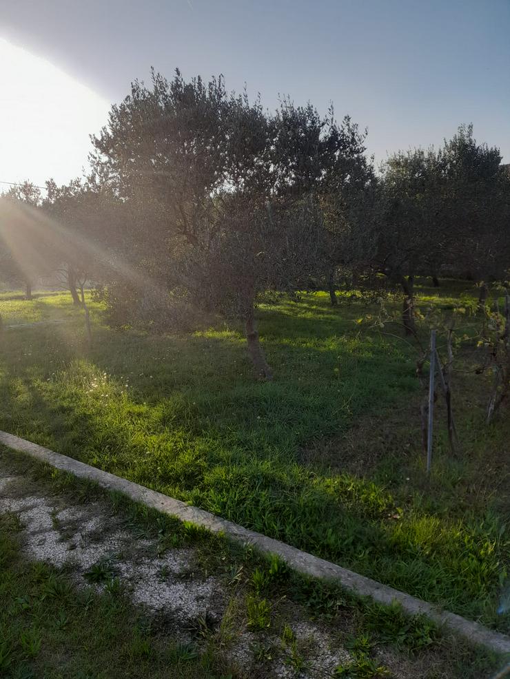 Bild 6: Baugrundstück zum Verkauf, Insel Rab, Kroatien