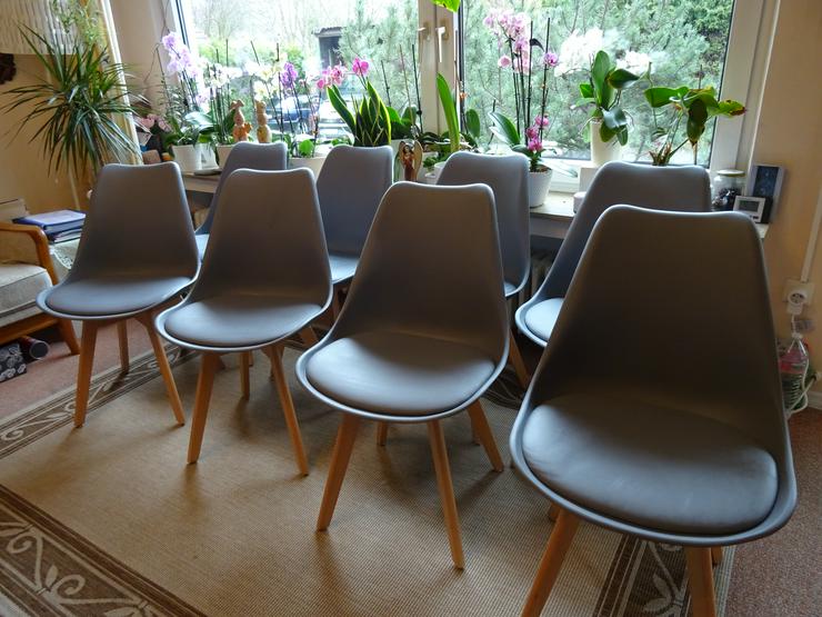 8 0der 2x4  Esszimmer-Stühle, modern. grau mit gepolsterter Sitzfläche - Stühle & Sitzbänke - Bild 2