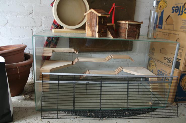 Bild 2: hamsterkäfig glas gebraucht