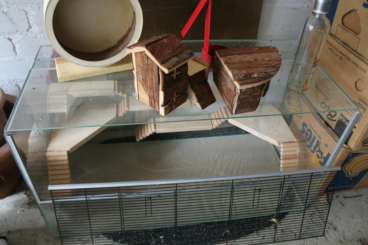 hamsterkäfig glas gebraucht - Hamster - Bild 1