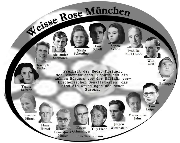 Weisse Rose - Dauer - Ausstellung, Schenkung (zu verschenken, kostenlos) - Bekanntmachungen - Bild 1