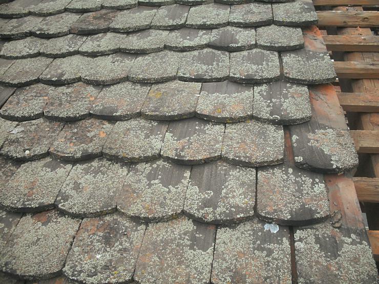 Alt historisch Biberschwanz Dachziegel shabby chic Schindel gebraucht ReUse Tonziegeln Dachdeckung - Dach - Bild 4