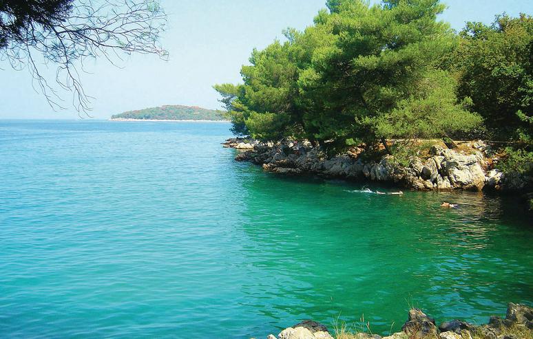 Bild 5: Kroatien,Kvarner Bucht,Insel KRK