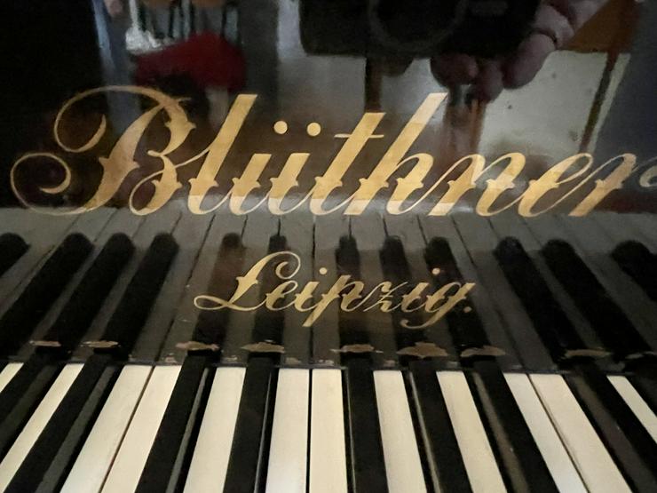 Blüthner-Flügel - Klaviere & Pianos - Bild 2