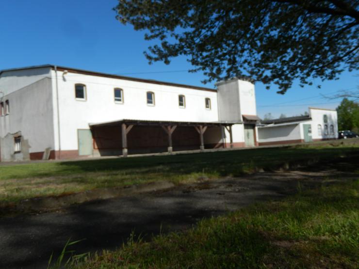 Bild 1: Werkstatt Gewerbegrundstück Gewerbeimmobilie Bürogebäude 3 Wohnhaus Lagerhalle Ladengeschäft Oschatz