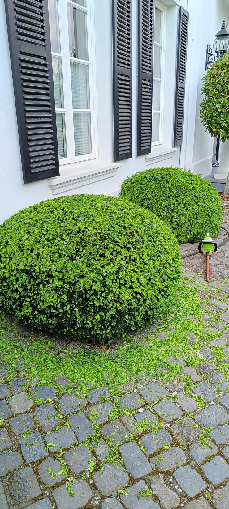 Bild 4: Gartenhelfer hilft in Meerbusch und Düsseldorf im Garten