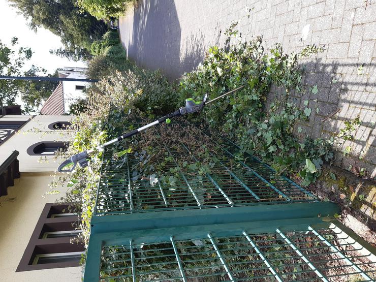 Bild 8: Gartenhelfer hilft in Meerbusch und Düsseldorf im Garten